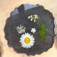 Pressed Flower Resin Coaster Set
